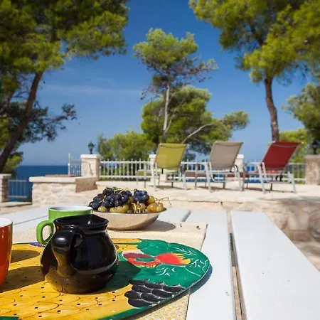 Tatil Evi House Vesna Kupinova *