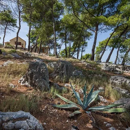 House Vesna Kupinova Tatil Evi *