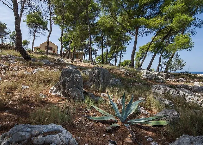 House Vesna Kupinova Сasa de vacaciones *